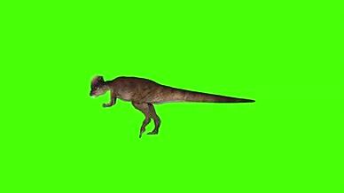 绿幕恐龙免抠视频素材视频的预览图